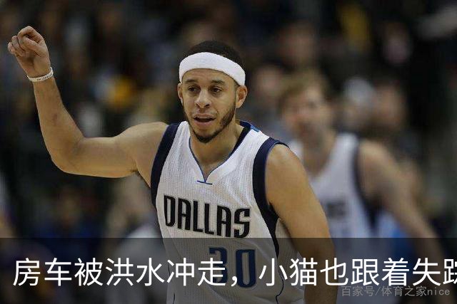 房车被洪水冲走，小猫也跟着失踪，8天后它突然回家了，全家人都哭了